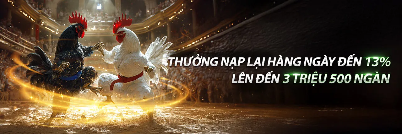 Sự Kiện Đặc Biệt & Giải Đấu ano88 trang chủ