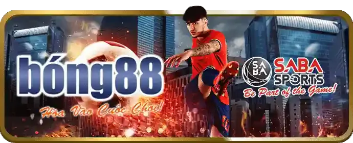 Cá cược bóng rổ tại ano88